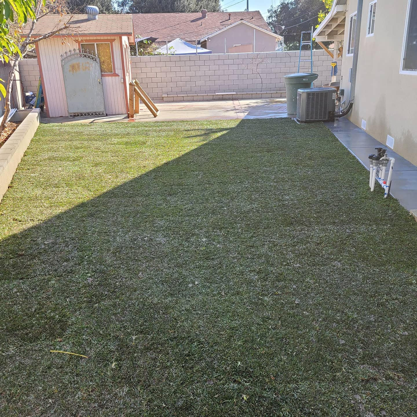 New grass - grass/grass01.jpg