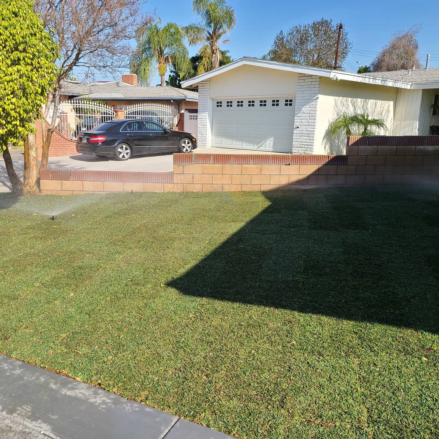 New grass - grass/grass03.jpg