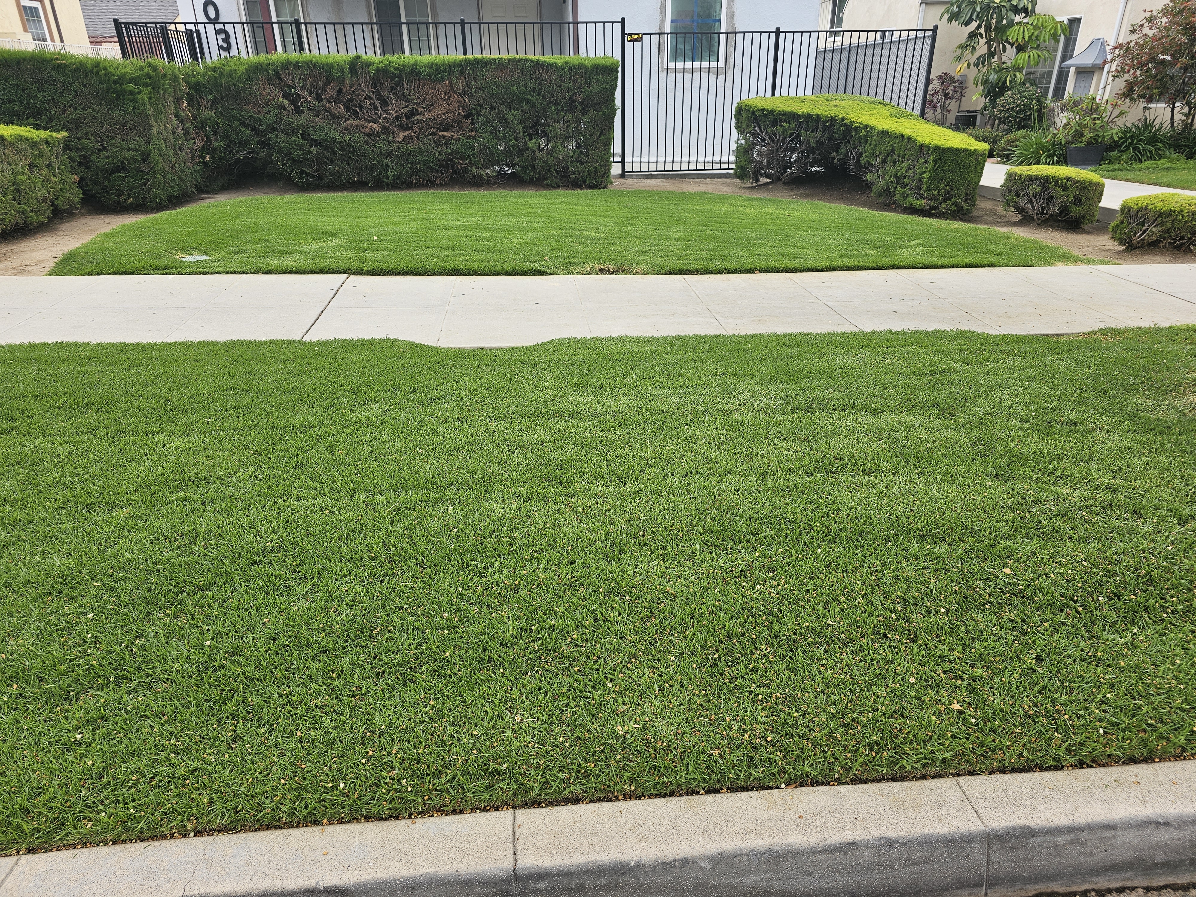 Lawn Care - lawncare/lc01.jpg