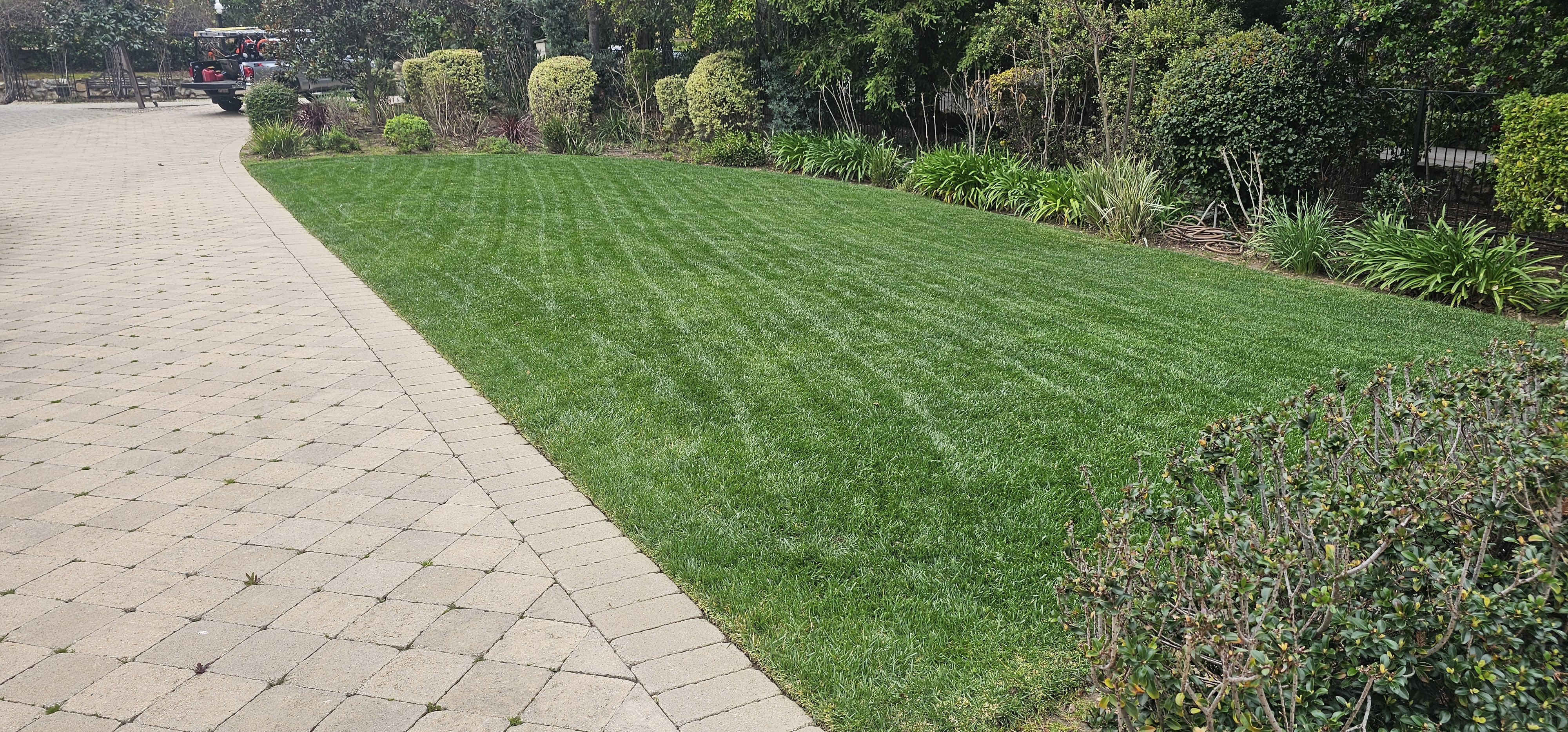 Lawn Care - lawncare/lc02.jpg