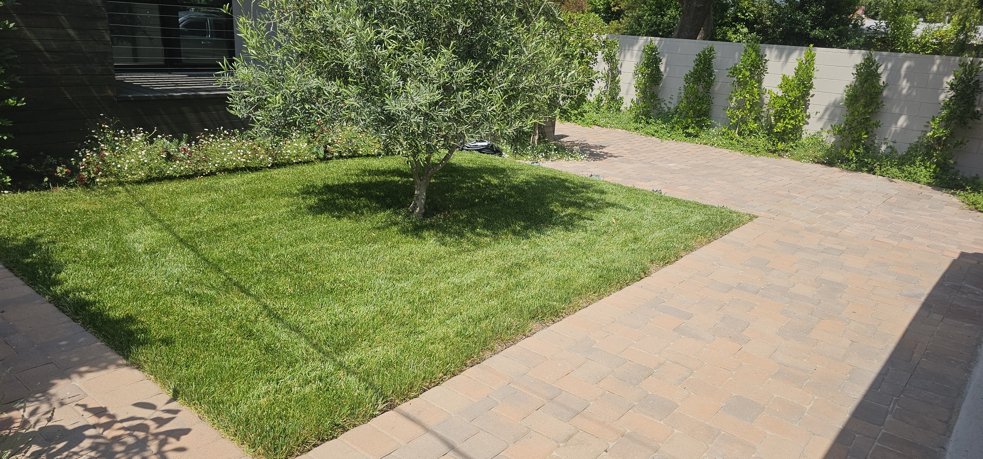 Lawn Care - lawncare/lc05.jpg