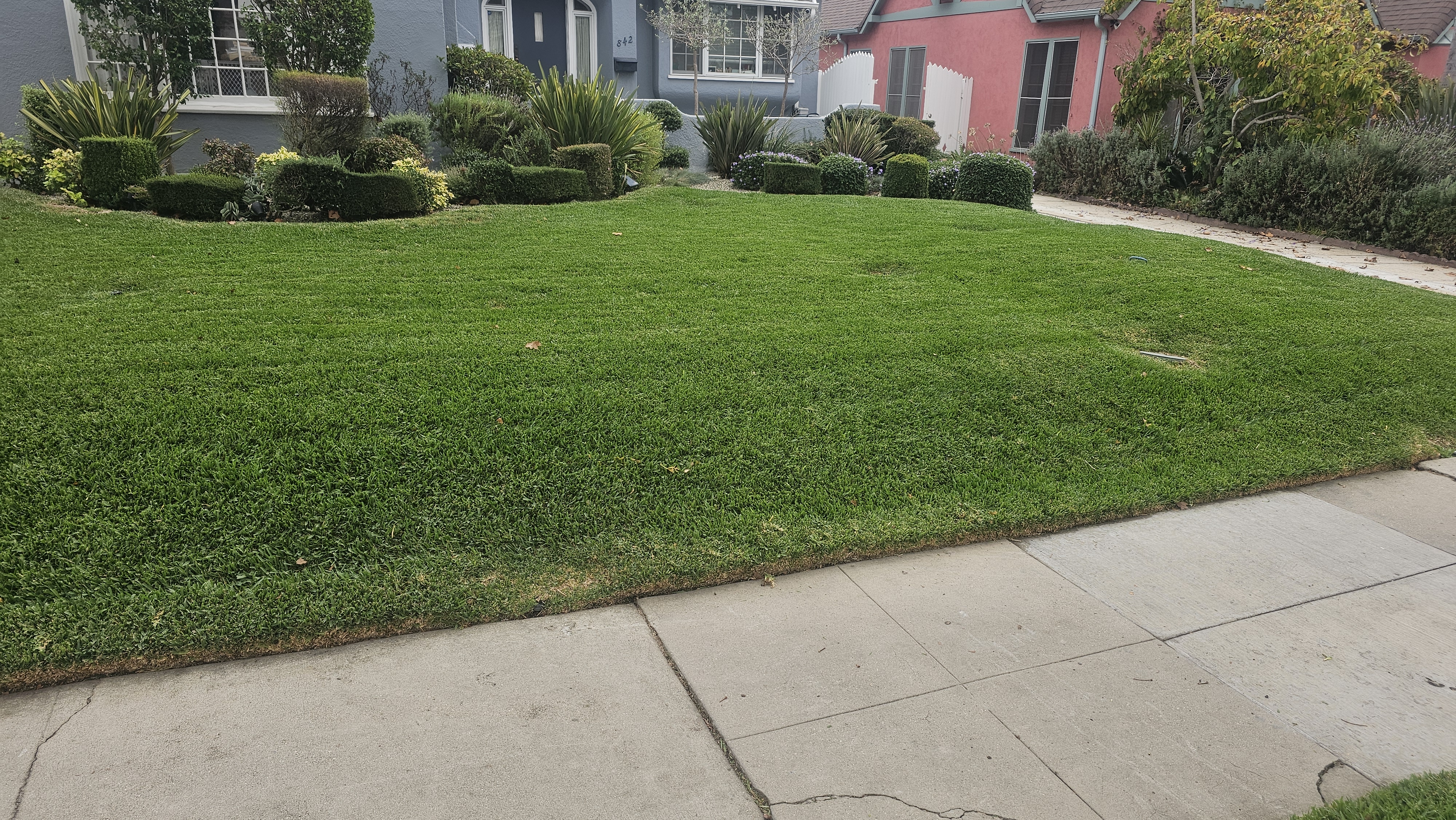 Lawn Care - lawncare/lc15.jpg